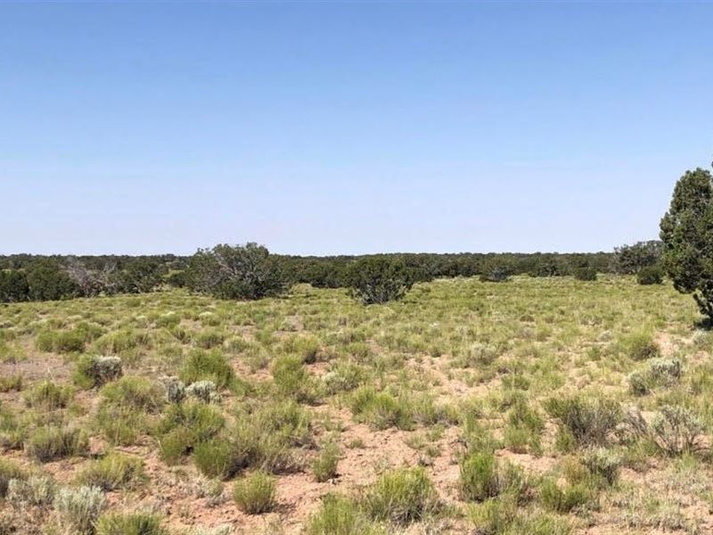 Rare Wide Land for Off Grid Living Land for Sale by Owner in Saint
