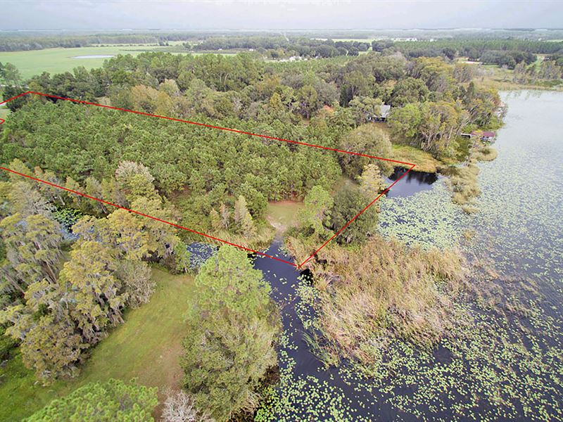 SR 33 South Pine Island Lake : Groveland : Lake County : Florida