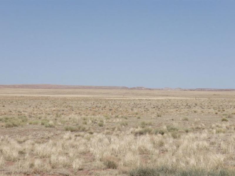 .21 Acre in Holbrook, Arizona : Holbrook : Navajo County : Arizona
