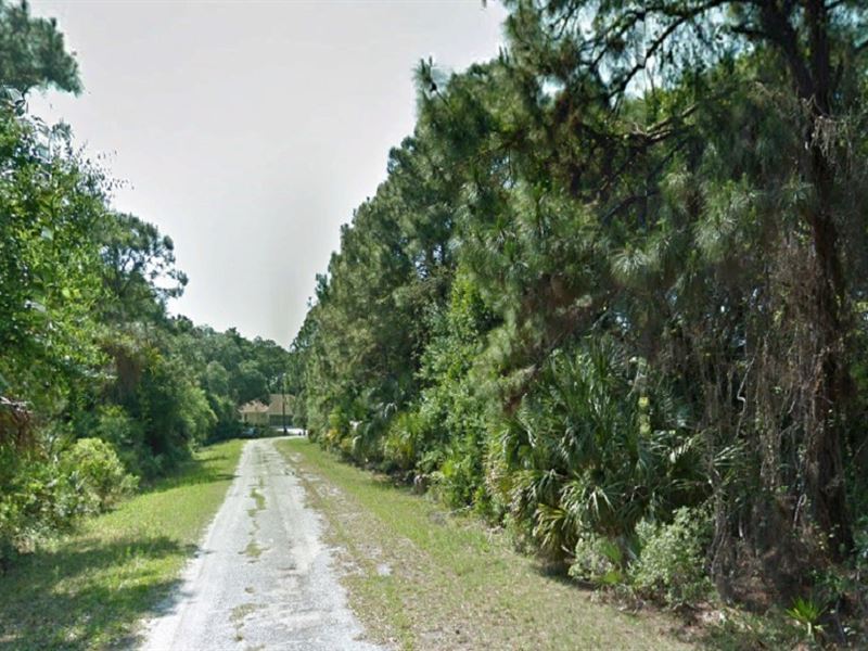 Sarasota County, FL 1/4 Acre : North Port : Sarasota County : Florida