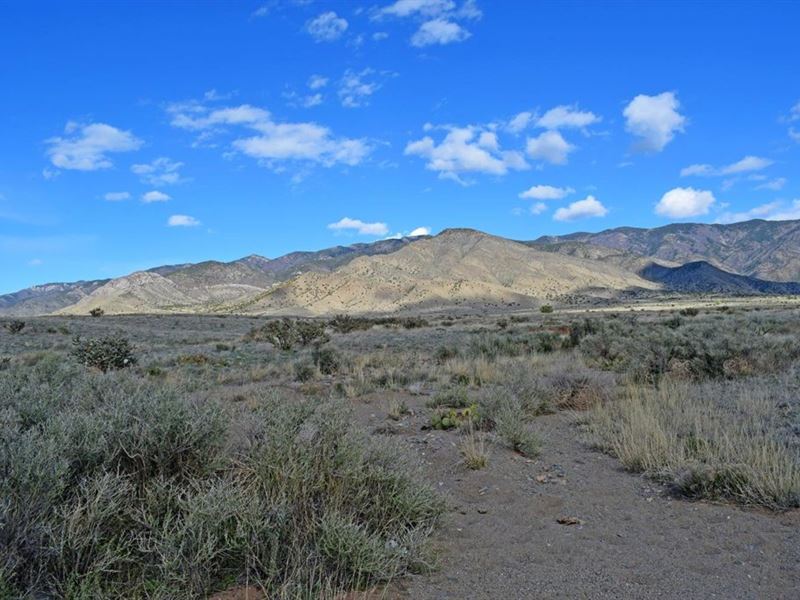 .25 Acre in Los Lunas, New Mexico : Belen : Valencia County : New Mexico