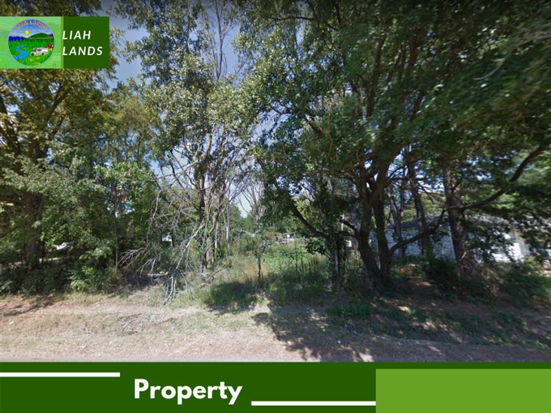 Rare Auction Deal : West Helena : Phillips County : Arkansas