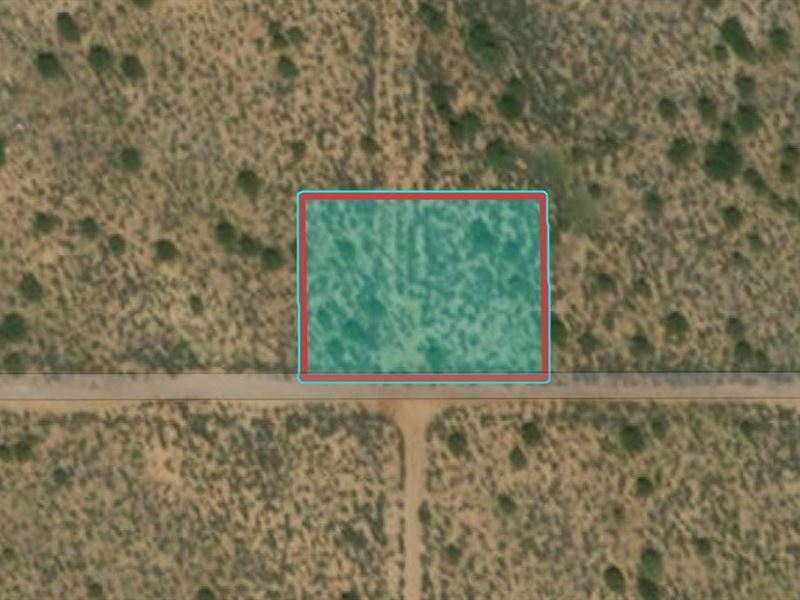 .5 Acre in Taos County, NM : Tres Piedras : Taos County : New Mexico