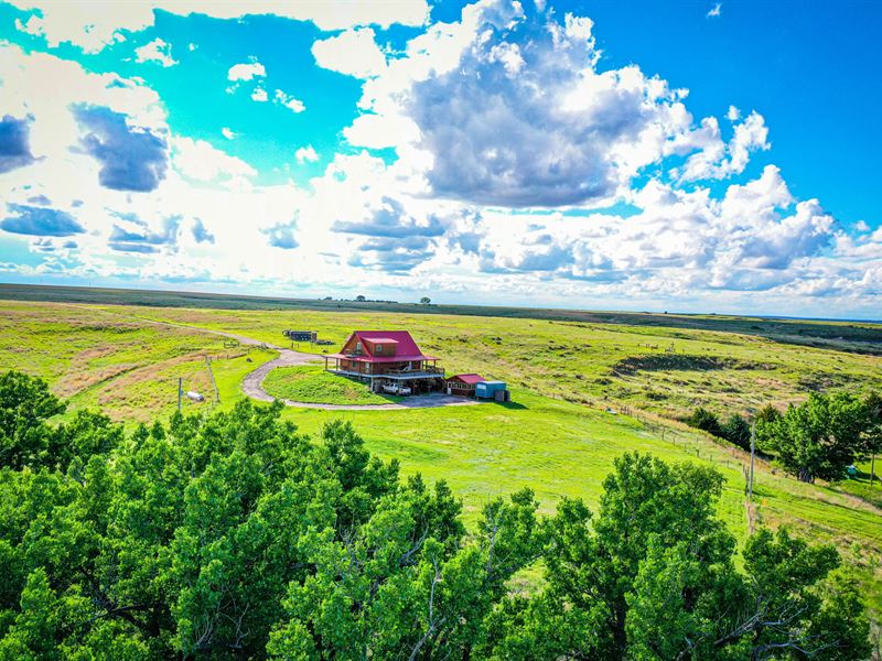 Amazing Grace Ranch : Utica : Ness County : Kansas