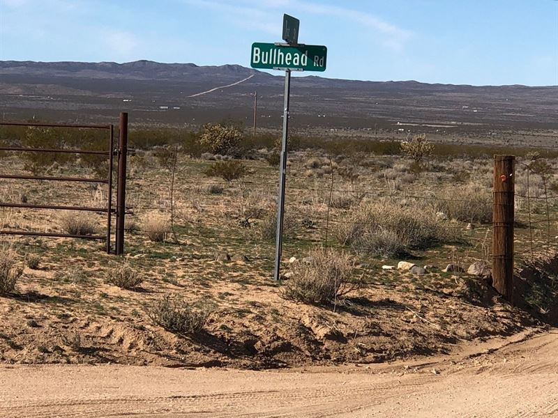 Scenic, Great Location, $540/Month : Dolan Springs : Mohave County : Arizona