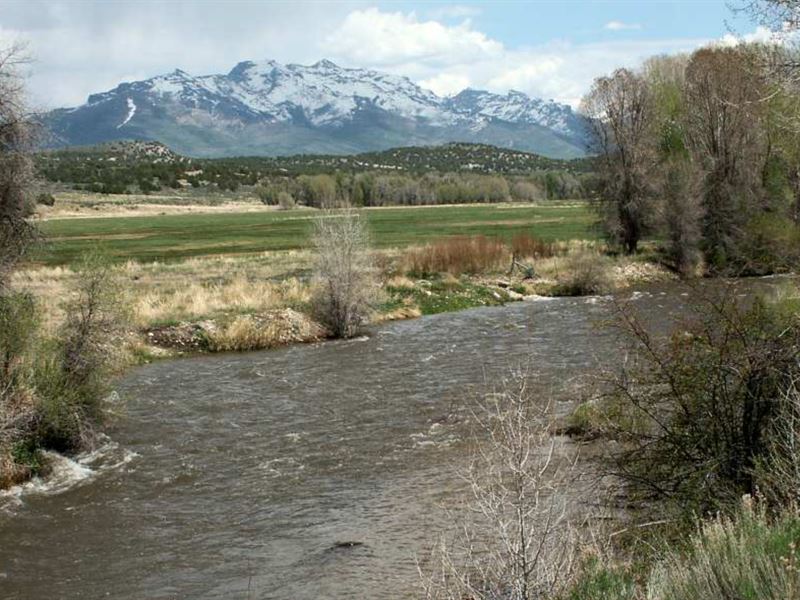 A River Runs Through It : Elko : Elko County : Nevada