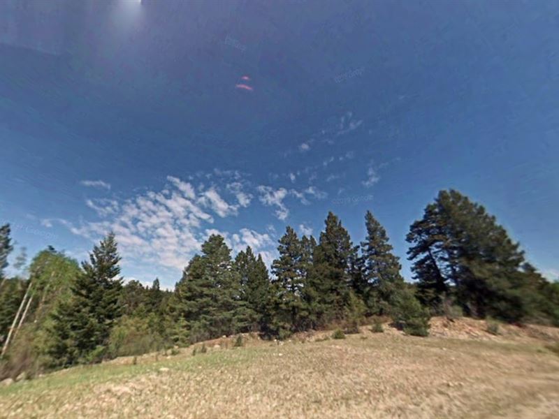 1.27 Acres in NM for $199 Down : Timberon : Otero County : New Mexico