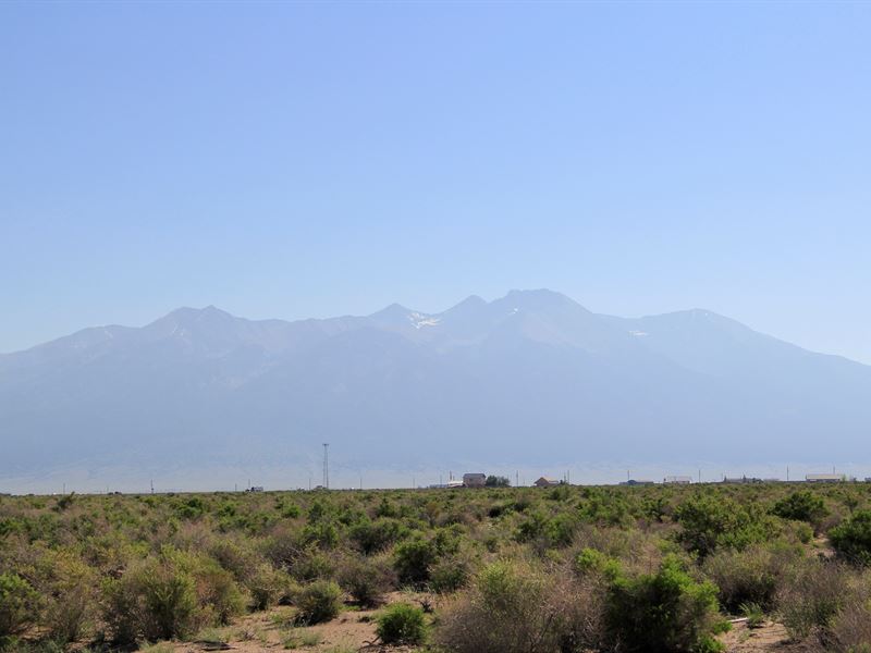 1.25 Acres in CO for Just $1 Down : Alamosa : Alamosa County : Colorado