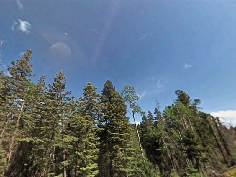 .38 Acres in NM for $1 Down : Timberon : Otero County : New Mexico