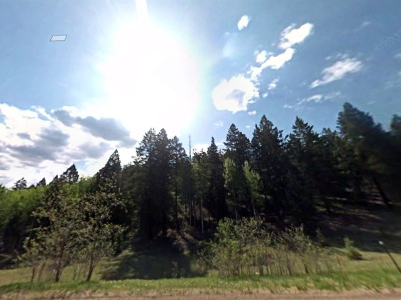 .52 Acres in NM for Just $79 Down : Timberon : Otero County : New Mexico