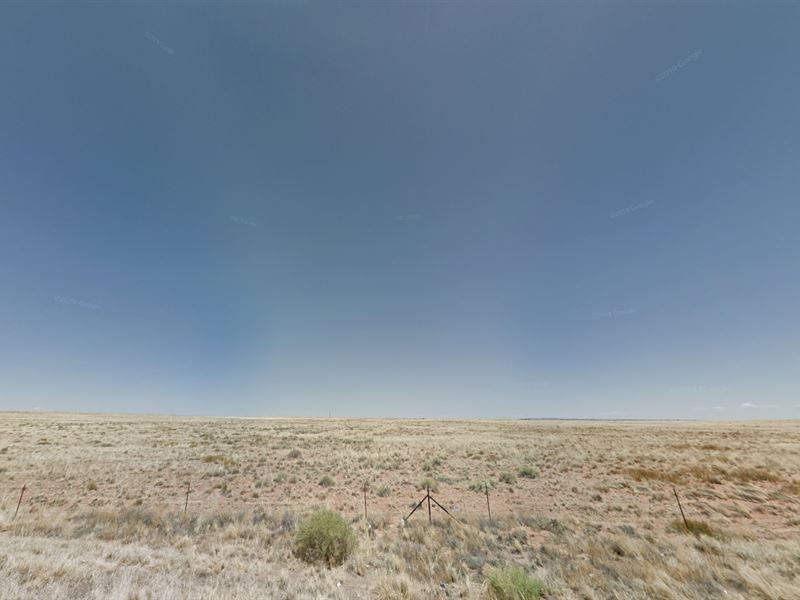 1.25 Acres in Az, Just $75 Down : Sun Valley : Apache County : Arizona