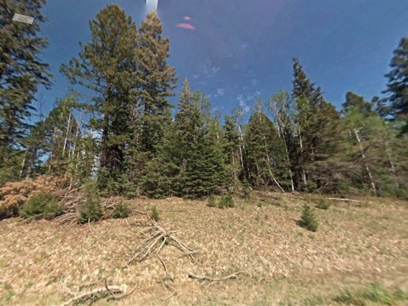 1.03 Acres in Nm, Just $99 Down : Timberon : Otero County : New Mexico