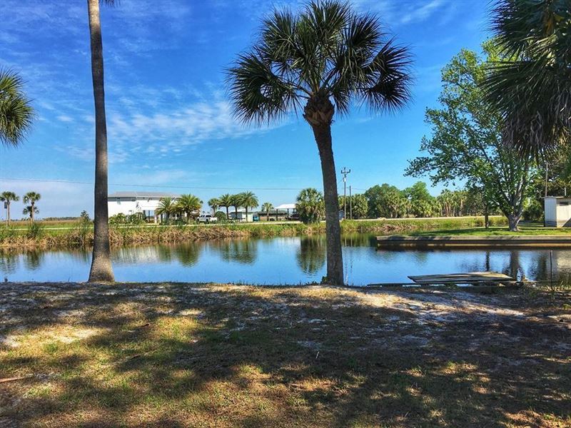 Walk to Suwannee River : Live Oak : Suwannee County : Florida
