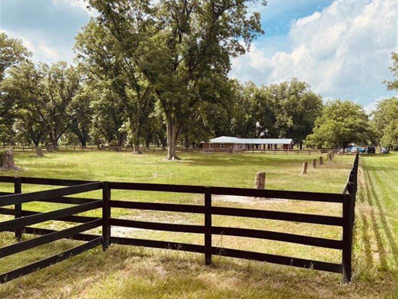 Gibbs Street Mini Farm : Waycross : Ware County : Georgia