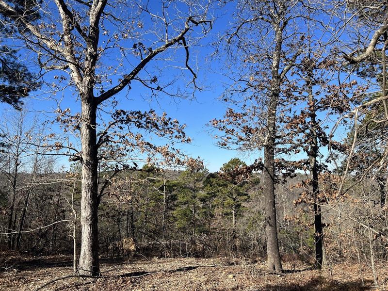 Eureka Springs 44.04 Acres Tract : Eureka Springs : Carroll County : Arkansas