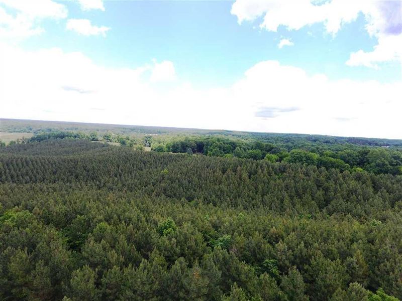 143 Acres with Double Gated Entranc : Lawrenceburg : Lawrence County : Tennessee