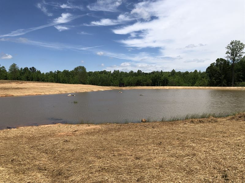 Grove Creek Tract : Lexington : Oglethorpe County : Georgia