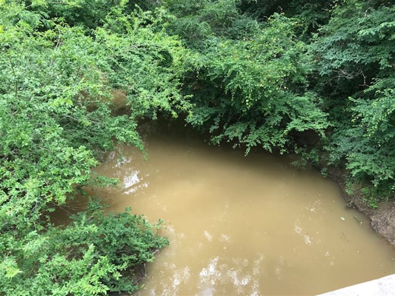 4.8 Acres on Broken Arrow Creek : Ragland : Saint Clair County : Alabama