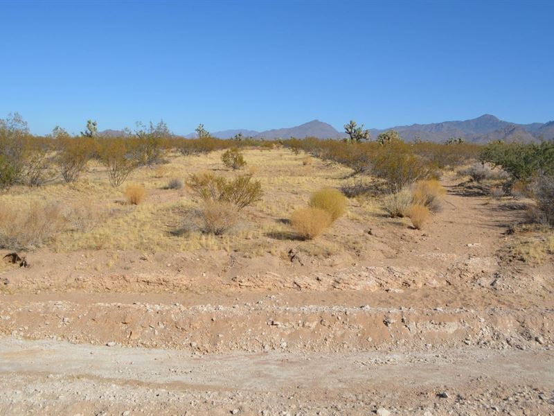 1.07 Acre in Kingman, AZ : Kingman : Mohave County : Arizona