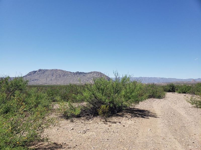 10 Acres for Sale in Marfa, TX : Marfa : Presidio County : Texas