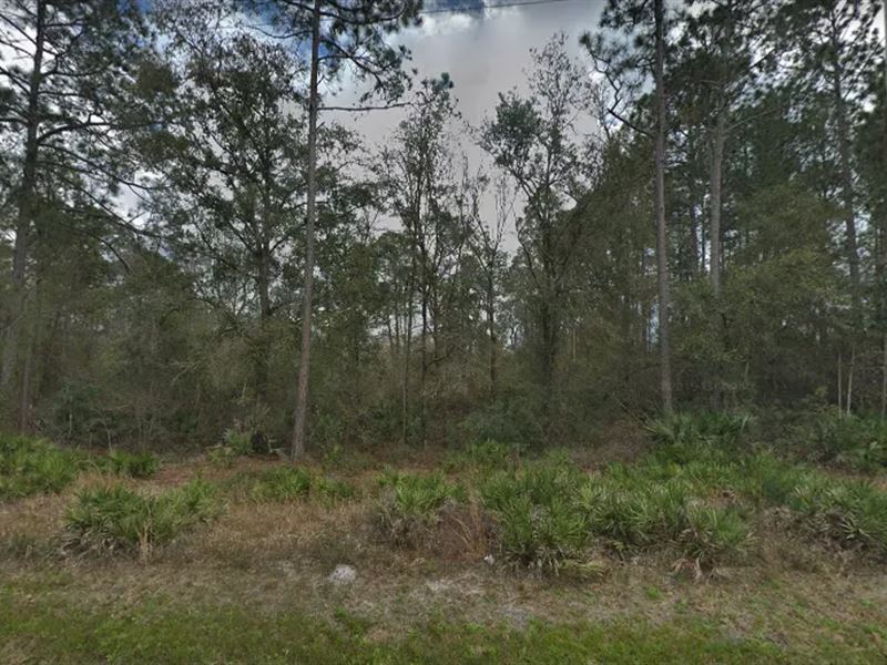 .34 Ac for Sale in Florahome, FL : Florahome : Putnam County : Florida