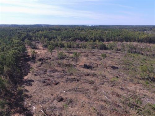 Growing Area : Anderson : South Carolina