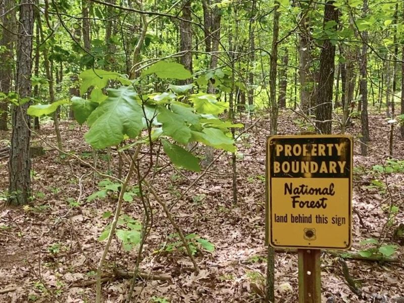 Owner Financed Tract On Ntl Forest : Rolla : Dent County : Missouri