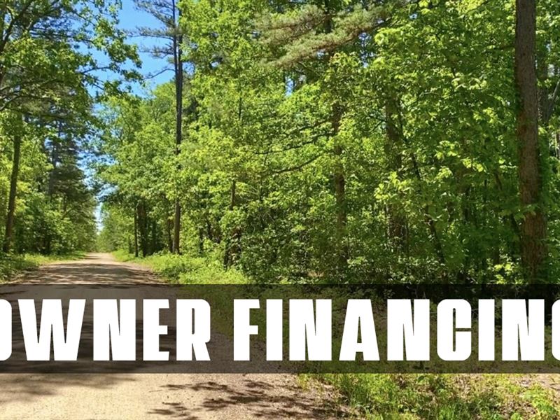 $1500 Down On Hunting Tract : Rolla : Dent County : Missouri