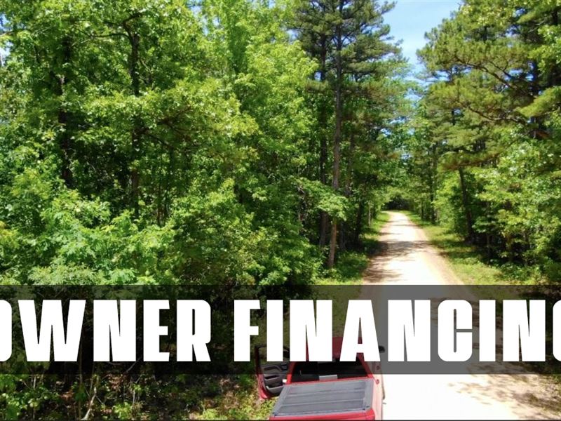$1500 Down On Hunting Tract : Rolla : Dent County : Missouri