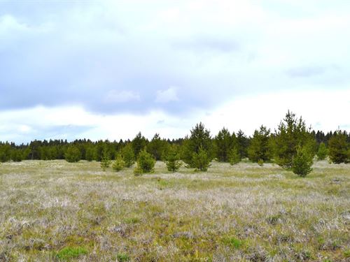 51 Acres, Williamson River Frontage : Chiloquin : Klamath County : Oregon