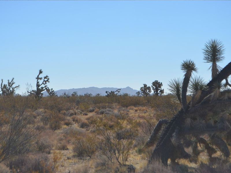 1.03 Acre in Kingman, AZ : Kingman : Mohave County : Arizona