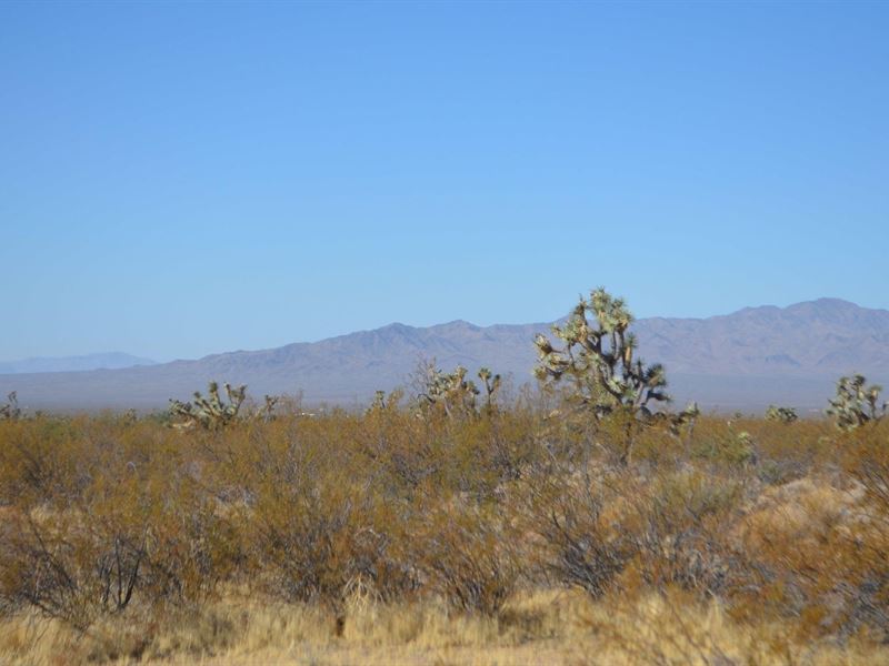 1.02 Acre in Kingman, AZ : Kingman : Mohave County : Arizona