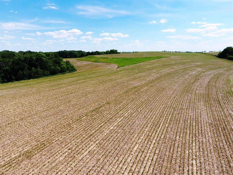 81 Ac, Bush Hollow Road : Prairie Du Chien : Crawford County : Wisconsin