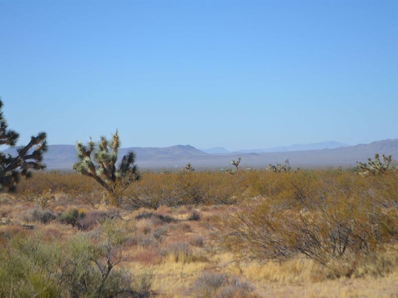 .2 Acre in Kingman, AZ : Kingman : Mohave County : Arizona