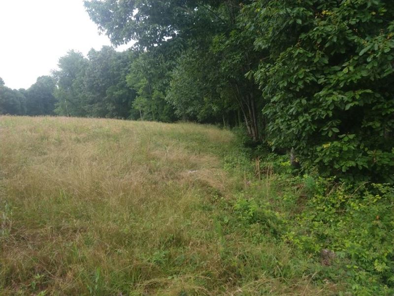 7 Acres for $400 Per Month : Waverly : Humphreys County : Tennessee