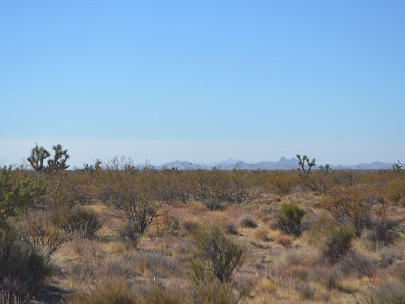 .2 Acre in Kingman, AZ : Kingman : Mohave County : Arizona