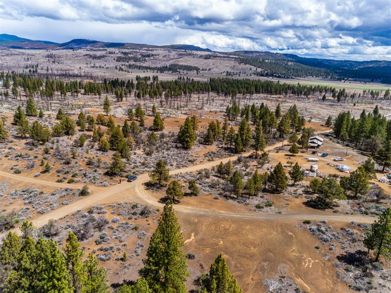 2+ Ac with Plenty of Trees & Power : Chiloquin : Klamath County : Oregon