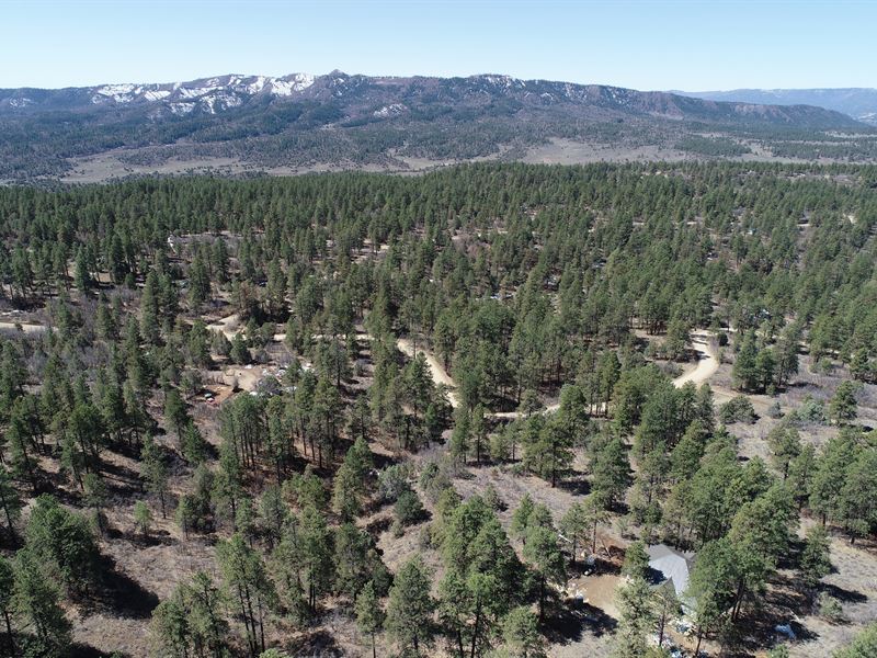 Beautiful CO Wonderland with Power : Pagosa Springs : Archuleta County : Colorado