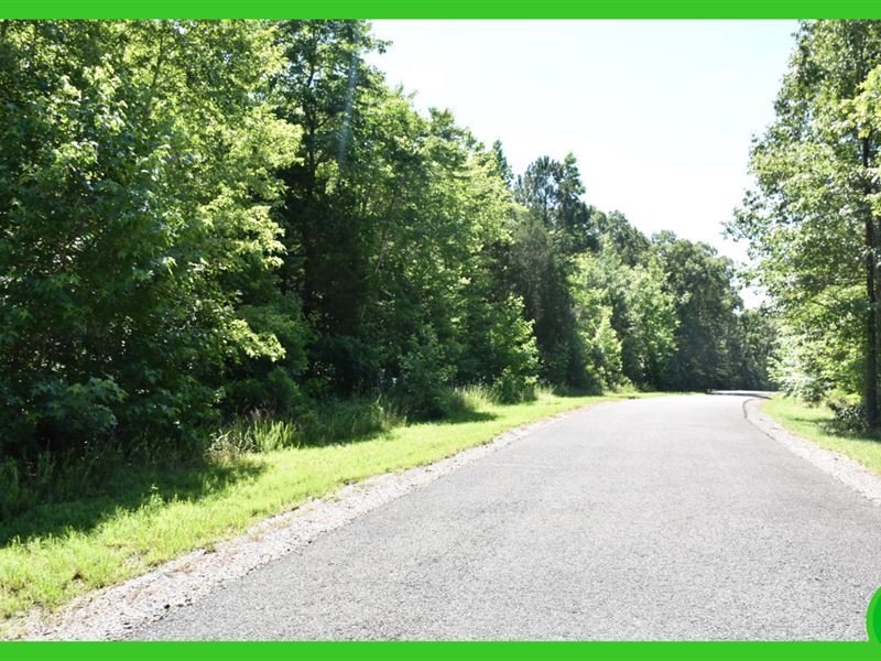 1.68 Ac in Calloway County, KY : Murray : Calloway County : Kentucky