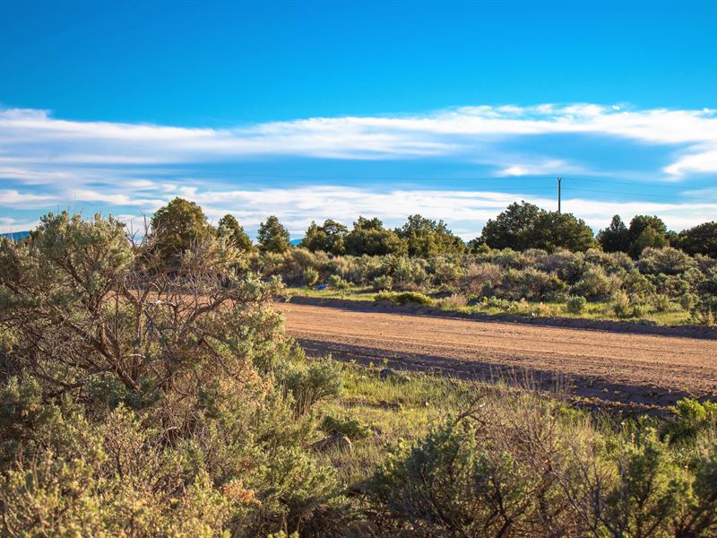 Wild Horse Mesa Homesite, Power : San Luis : Costilla County : Colorado