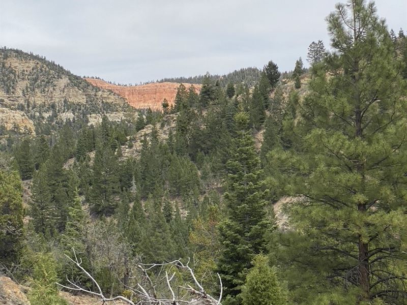 Ideal Cabin Lot On 3 Acres : Kanab : Kane County : Utah