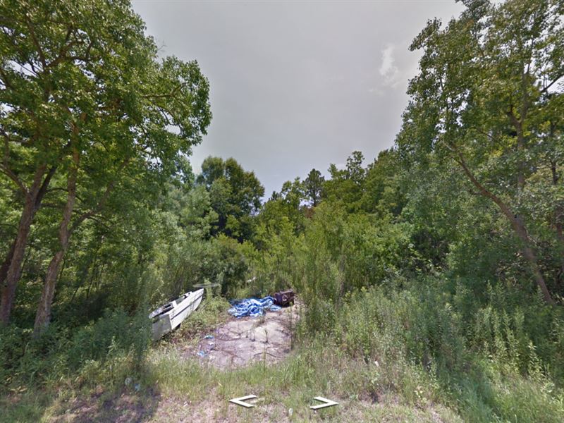 Gorgeous Wooded Lot Bay Saint Louis : Bay Saint Louis : Hancock County : Mississippi