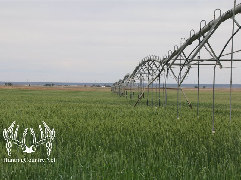 Eastern Dairy, Roosevelt County, NM : Portales : Roosevelt County : New Mexico