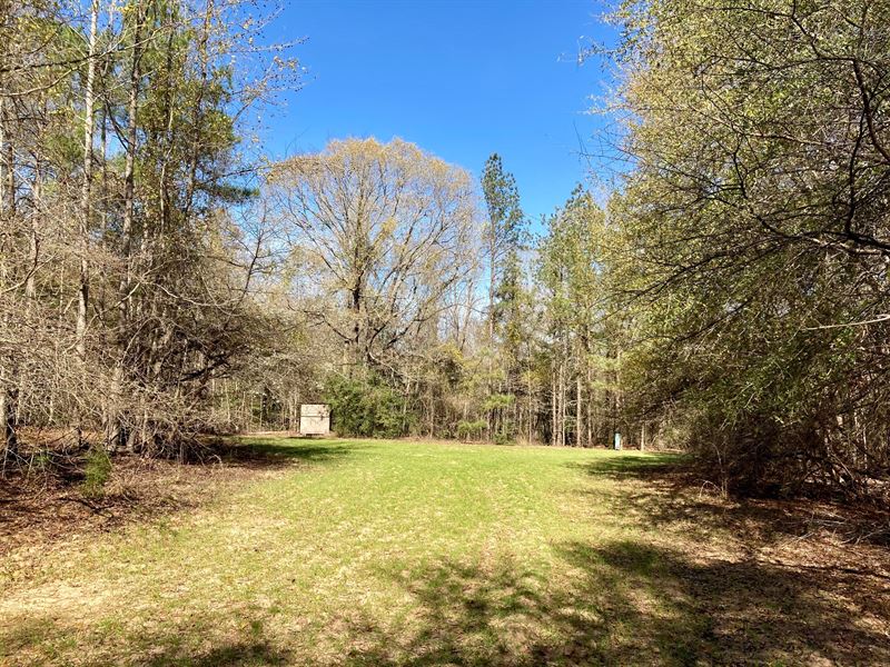 Gibson Road Tract, Butler County : Greenville : Butler County : Alabama