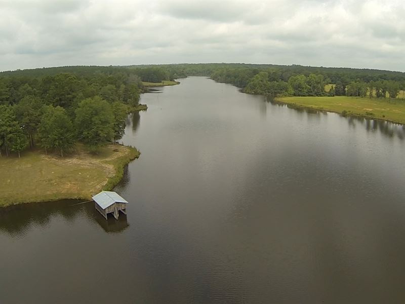Ivy Creek Dream : Luverne : Crenshaw County : Alabama