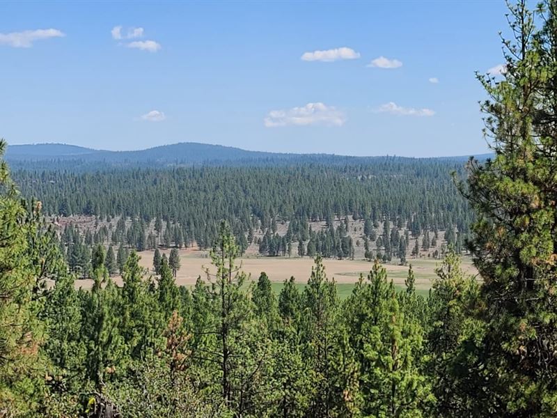 Beautiful and Peaceful 1.5 Acre : Beatty : Klamath County : Oregon