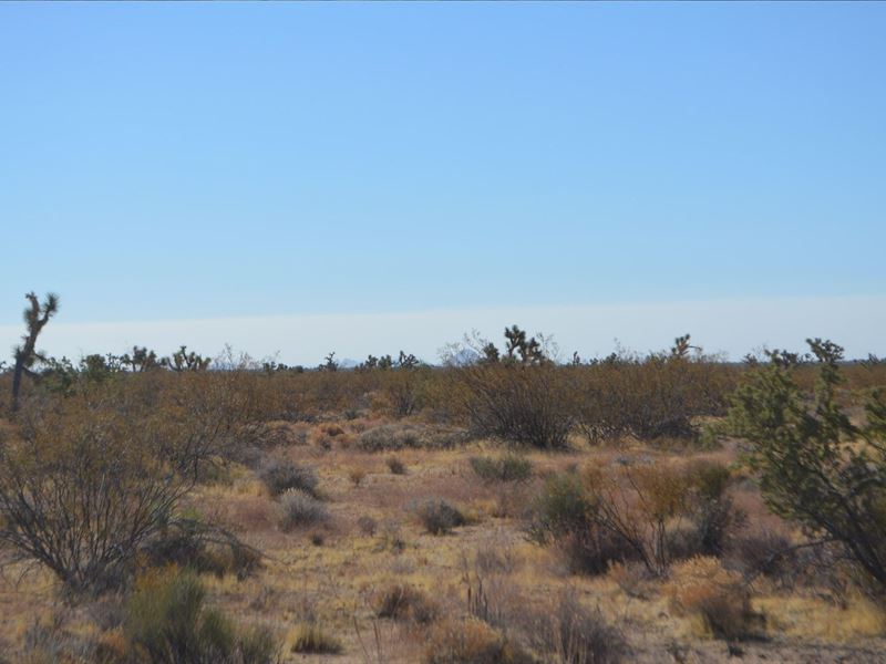 1.04 Acre in Kingman, AZ : Kingman : Mohave County : Arizona