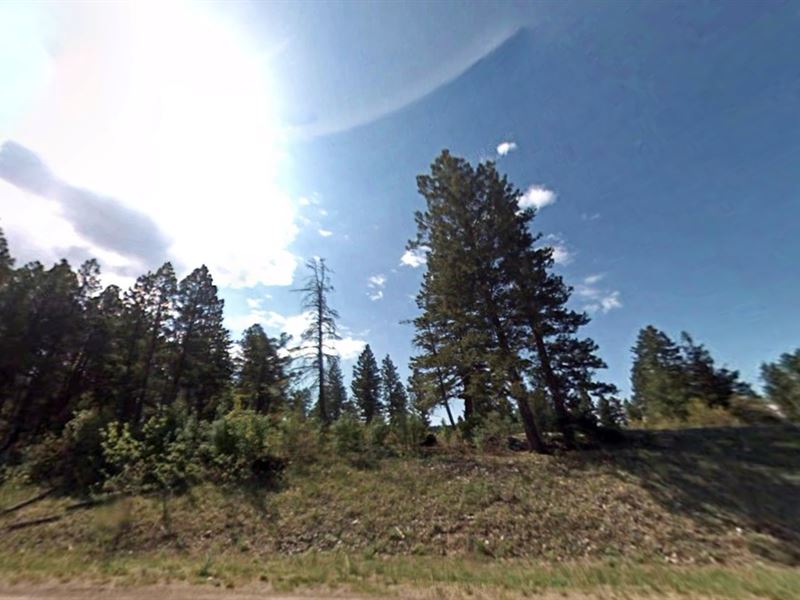 1.9 Acre in NM Just $199 Down : Timberon : Otero County : New Mexico