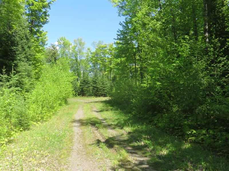 Presque Isle Parcel : Presque Isle : Vilas County : Wisconsin