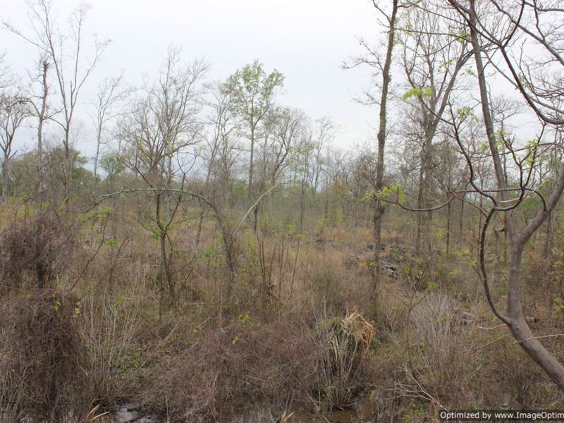 78+/- Acres in The MS Delta : Itta Bena : Leflore County : Mississippi